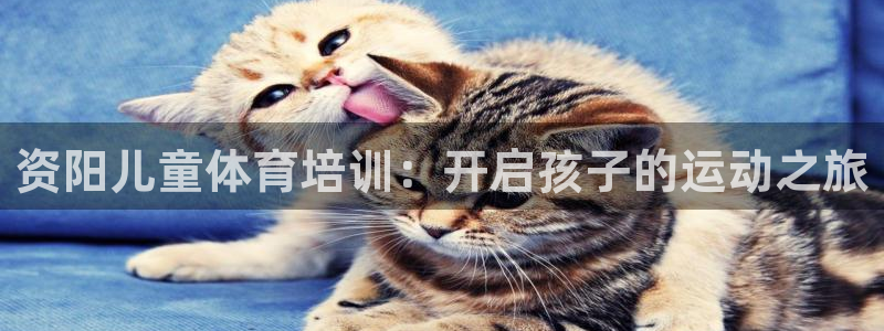 焦点娱乐简七O935最新版本更新内容：资阳儿童体育培