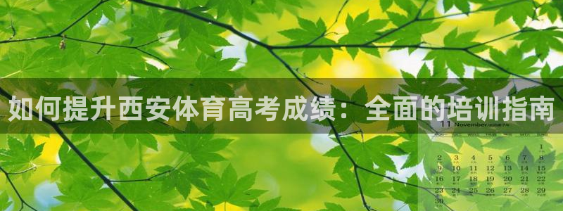 焦点娱乐门徒娱乐骗局视频