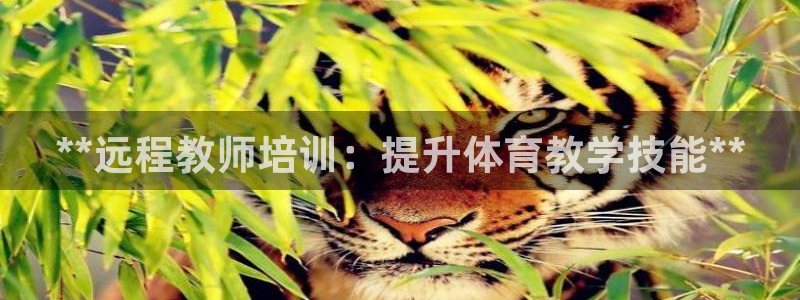 焦点娱乐网站下载地址大全：**远程教师培训：提升体育