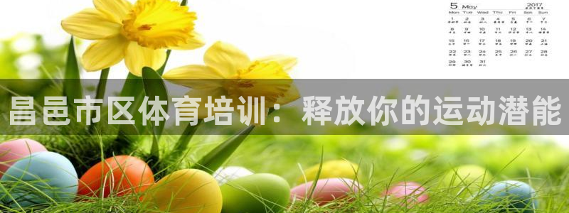 焦点娱乐负责人：昌邑市区体育培训：释放你的运动潜能
