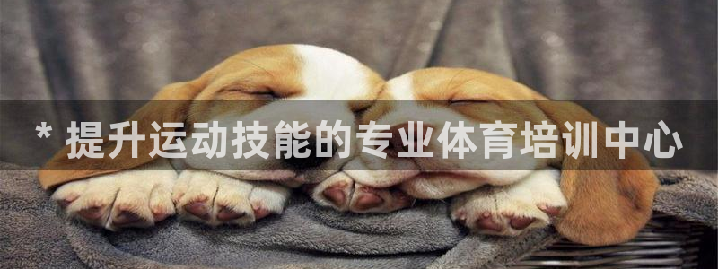 焦点娱乐平台供7O777：* 提升运动技能的专业体育