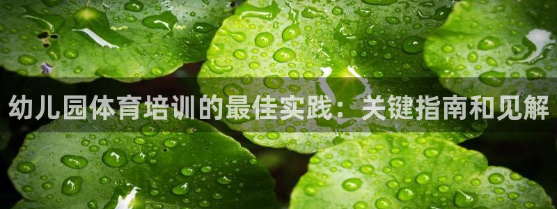 焦点娱乐下载手机版：幼儿园体育培训的最佳实践：关键指