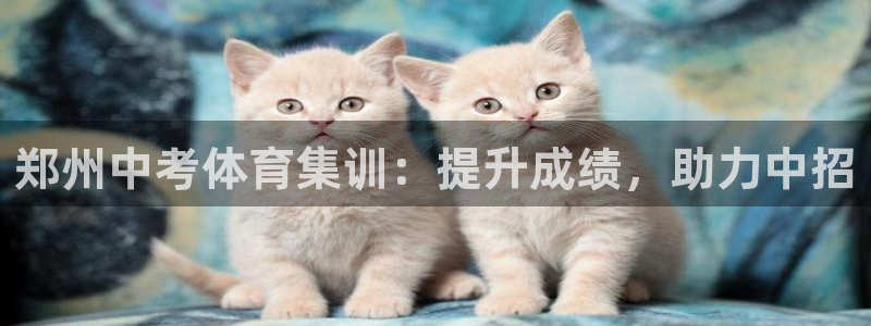 焦点娱乐什么意思：郑州中考体育集训：提升成绩，助力中