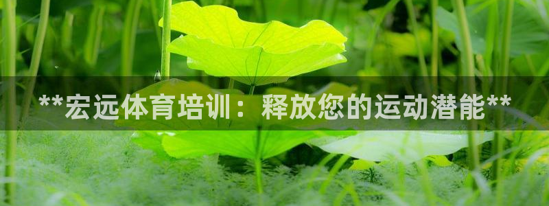 焦点娱乐平台是正规的吗安全吗苹果：**宏远体育培训：