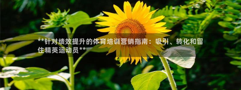焦点娱乐是黑平台吗是真的吗：**针对绩效提升的体育培