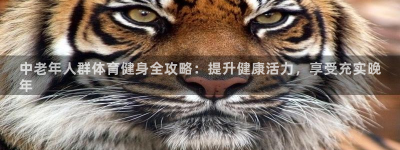 焦点娱乐公司简介图片