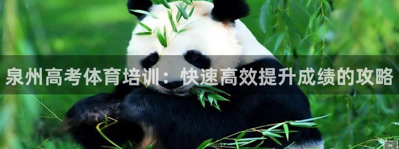 焦点娱乐跨服怎么玩：泉州高考体育培训：快速高效提升成