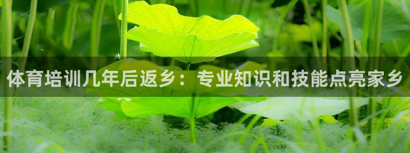 焦点娱乐app下载安装方式最新：体育培训几年后返乡：
