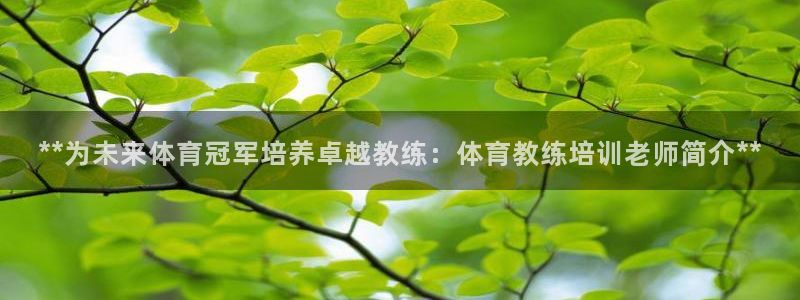 焦点娱乐平台客服电话号码：**为未来体育冠军培养卓越