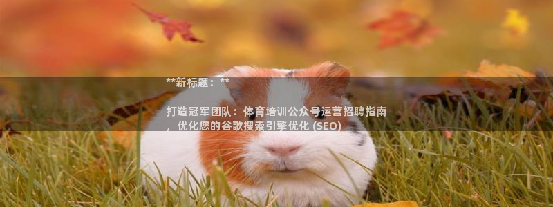 焦点娱乐跨服怎么玩：**新标题：**

打造冠军团队
