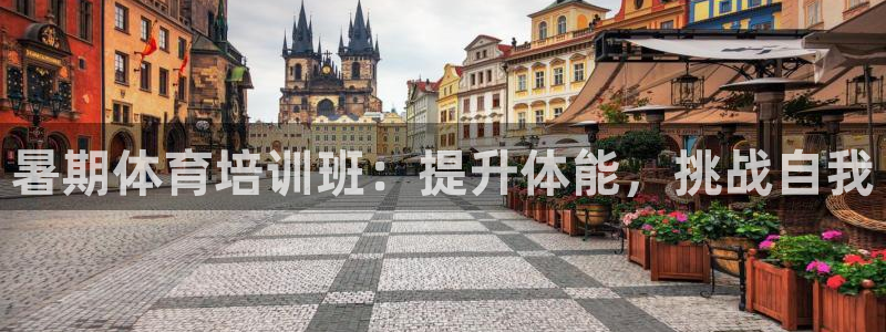 焦点娱乐官方网站下载手机版：暑期体育培训班：提升体能