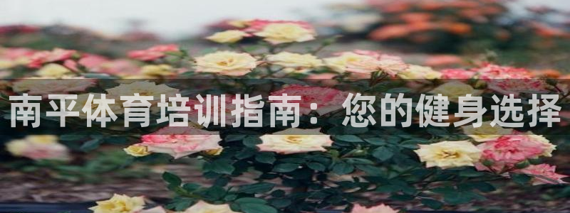 焦点娱乐平台最高待遇：南平体育培训指南：您的健身选择