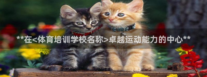 焦点娱乐传媒有限公司招聘