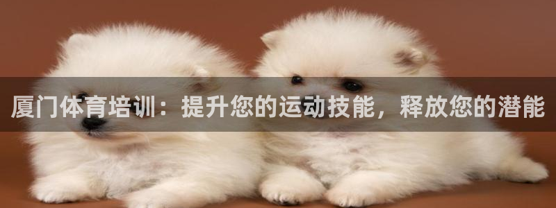 焦点娱乐官方网站入口下载安装：厦门体育培训：提升您的