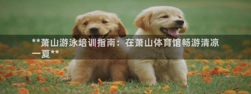 焦点娱乐平台是正规的吗知乎推荐：**萧山游泳培训指南