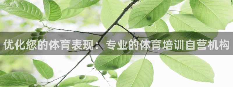 焦点娱乐全国总冠军都有谁：优化您的体育表现：专业的体