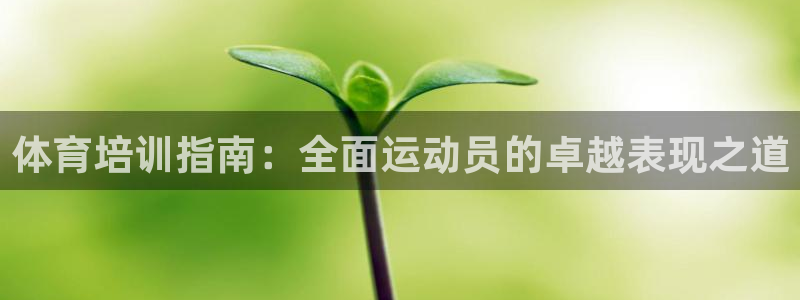 焦点娱乐传媒有限公司是干嘛的啊：体育培训指南：全面运