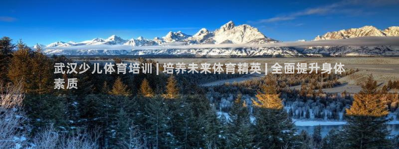焦点娱乐开发商是谁：武汉少儿体育培训 | 培养未来体
