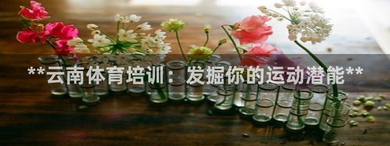 焦点娱乐公司：**云南体育培训：发掘你的运动潜能**