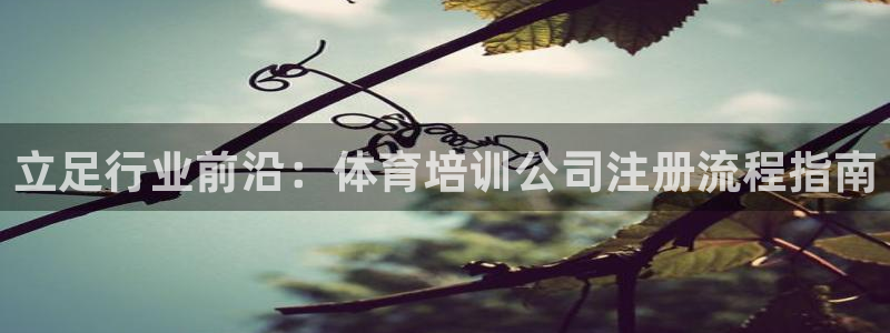 焦点娱乐股东是谁：立足行业前沿：体育培训公司注册流程