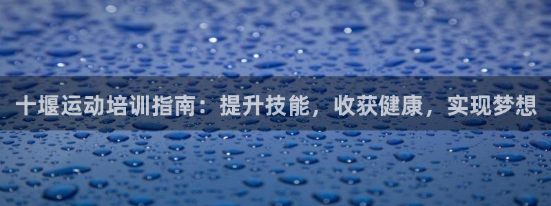 焦点娱乐有限公司怎么样：十堰运动培训指南：提升技能，