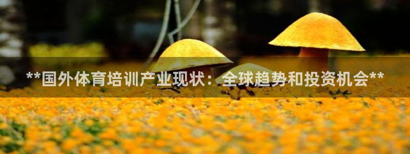 焦点娱乐有限公司：**国外体育培训产业现状：全球趋势