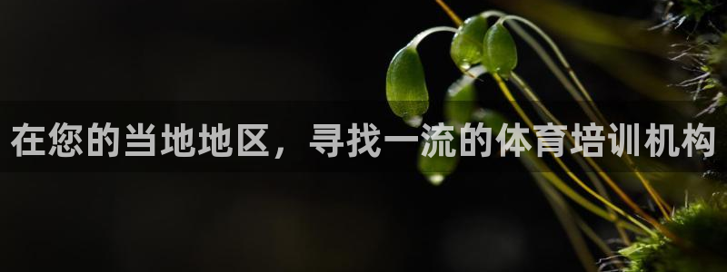 焦点娱乐跨服怎么玩：在您的当地地区，寻找一流的体育培