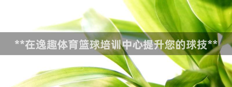焦点娱乐官方网站下载安装苹果：**在逸趣体育篮球培训