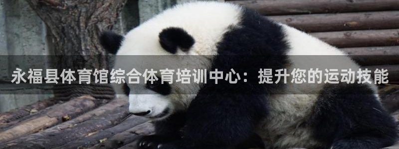 焦点娱乐平台是正规的吗知乎推荐：永福县体育馆综合体育
