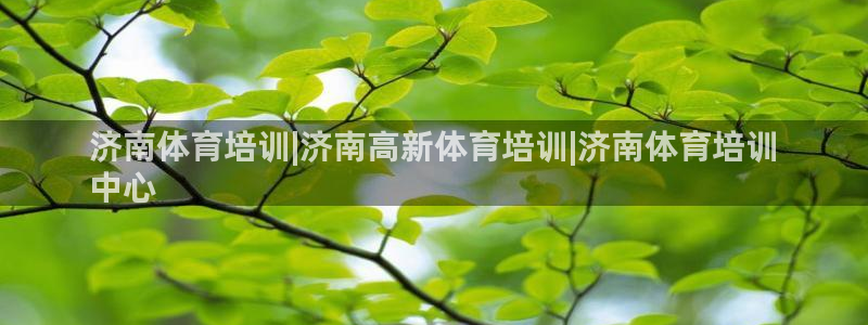 焦点娱乐有限公司：济南体育培训|济南高新体育培训|济