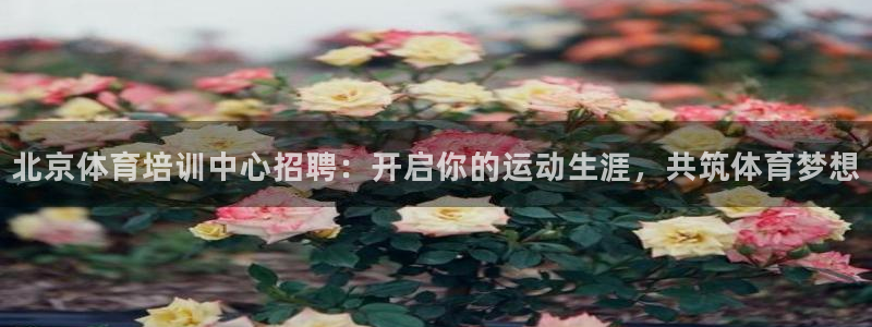 焦点娱乐app下载：北京体育培训中心招聘：开启你的运