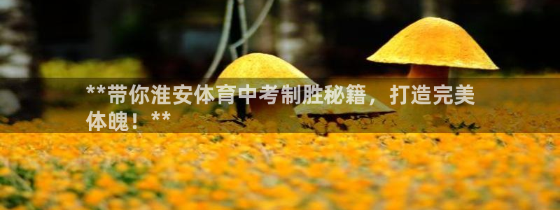 焦点娱乐传媒：**带你淮安体育中考制胜秘籍，打造完美