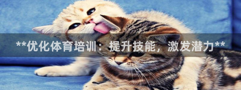 焦点娱乐vs皇族不败神话：**优化体育培训：提升技能
