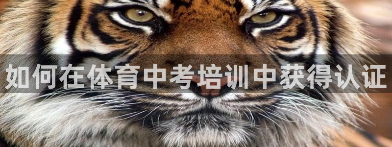 焦点娱乐游戏：如何在体育中考培训中获得认证