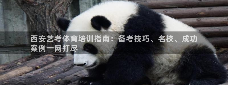 焦点娱乐平台总代理开户：西安艺考体育培训指南：备考技