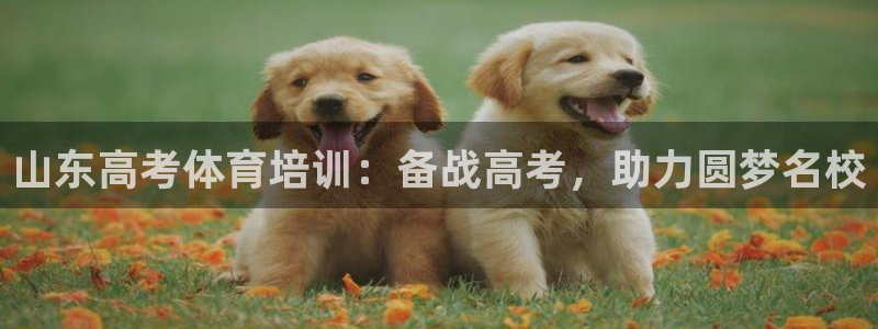 焦点娱乐官网首页入口网站：山东高考体育培训：备战高考