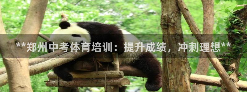 焦点娱乐平台客服热线电话：**郑州中考体育培训：提升
