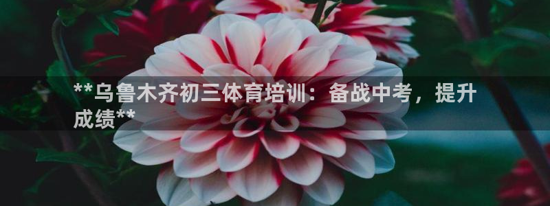 焦点娱乐平台注册账号安全吗：**乌鲁木齐初三体育培训