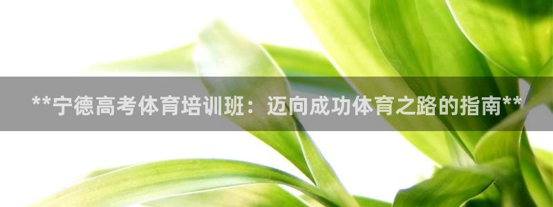 焦点娱乐官网首页入口网址：**宁德高考体育培训班：迈