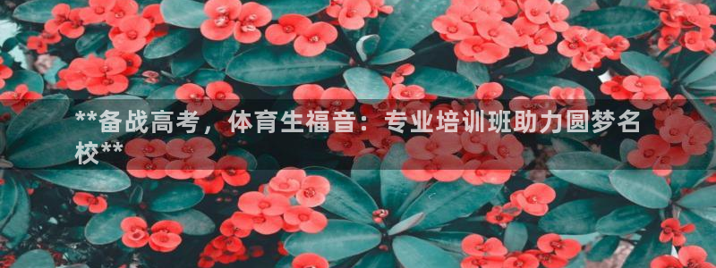 焦点娱乐星的视频：**备战高考，体育生福音：专业培训