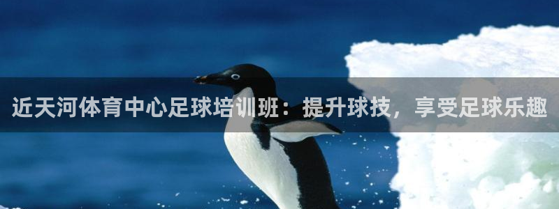 焦点娱乐app下载：近天河体育中心足球培训班：提升球