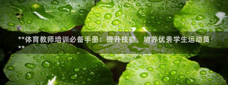 焦点娱乐不出款：**体育教师培训必备手册：提升技能，