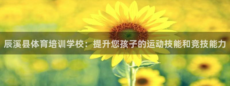焦点娱乐拉菲11：辰溪县体育培训学校：提升您孩子的运