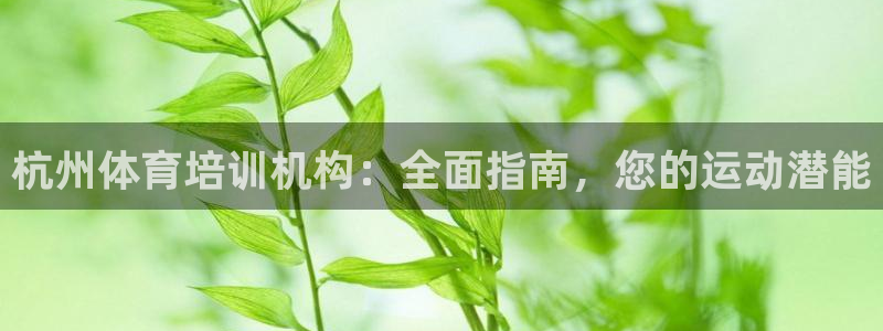 焦点娱乐网站下载地址大全：杭州体育培训机构：全面指南