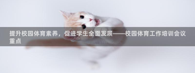 焦点娱乐平台主管：提升校园体育素养，促进学生全面发展