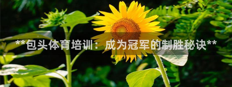 焦点娱乐传媒有限公司怎么样啊赚钱吗：**包头体育培训