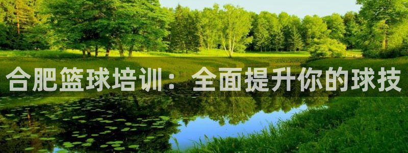 焦点娱乐官方网站入口在线观看：合肥篮球培训：全面提升