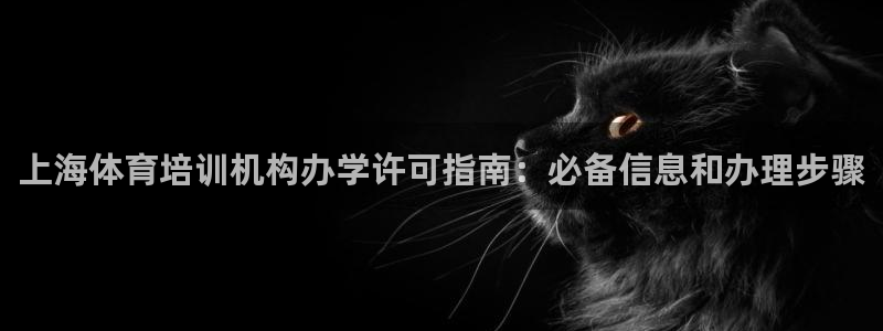 焦点娱乐无法提现到微信：上海体育培训机构办学许可指南