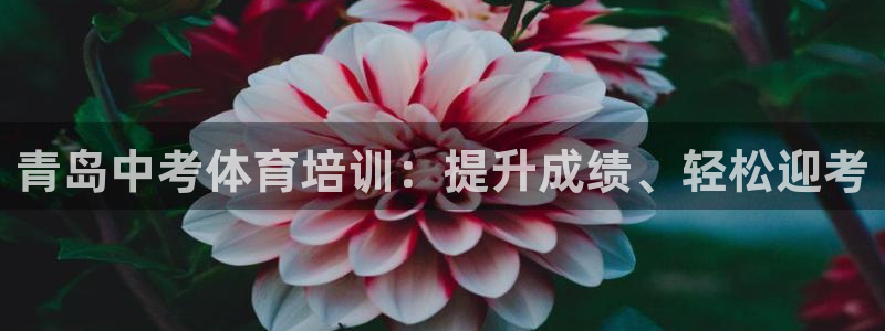 焦点娱乐平台注册账号怎么注销啊：青岛中考体育培训：提