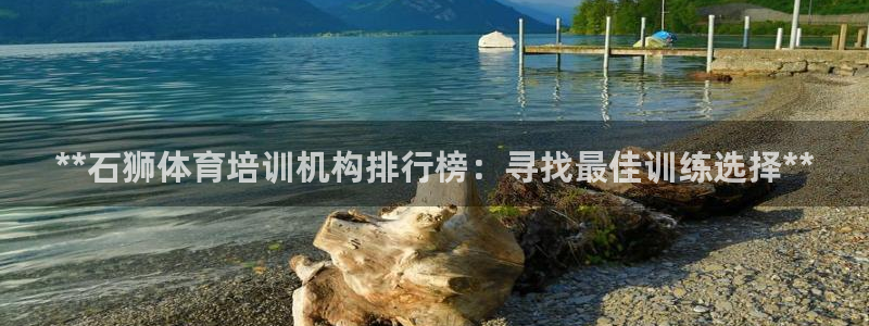 焦点娱乐游戏怎么玩教程：**石狮体育培训机构排行榜：
